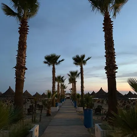 Gjiri I Lalezit, Saliu *