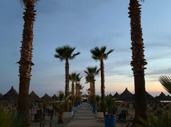 Gjiri I Lalezit, Saliu *