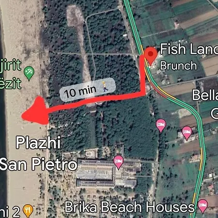 Gjiri I Lalezit, Saliu